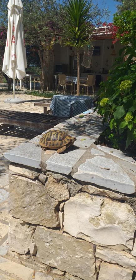 Guest House Solive Himara Kültér fotó